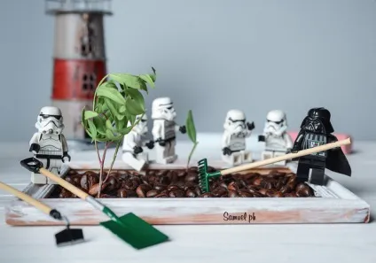 Тренуємося будувати картинку за допомогою lego (lego) Тренуємося будувати картинку за допомогою lego