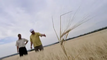 Важко без хліба, все не просто так