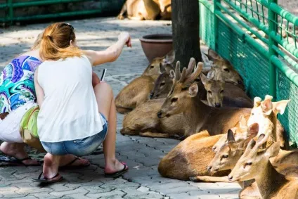 Тропічний сад Нонг Нуч