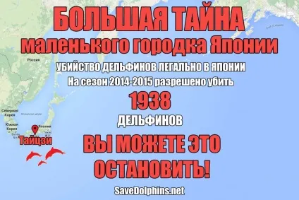 Вбивство дельфінів в Японії - громадський рух - рятуємо дельфінів (Японії) Вбивство дельфінів в Японії - громадський рух - рятуємо дельфінів
