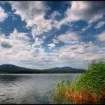 Уральський великий полоз і його зміїне царство