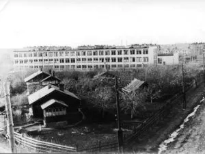 Вулиця світу МВЦ електросталь (електросталь) Вулиця світу МВЦ електросталь