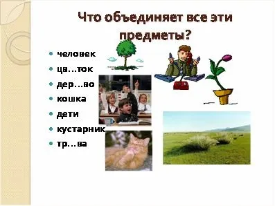 Урок української мови одухотворені і неживі іменники, контент-платформа (одухотворені) Урок української мови одухотворені і неживі іменники, контент-платформа