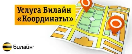 Послуга билайн «координати» опис і підключення