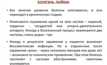 Вушний кліщ у людини симптоми і лікування (кліщ) Вушний кліщ у людини симптоми і лікування