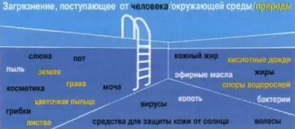 Догляд і обслуговування басейнів своїми руками (басейнів) Догляд і обслуговування басейнів своїми руками