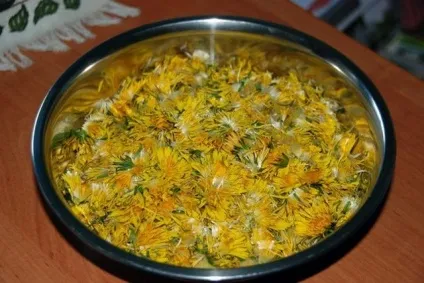Варення з кульбаби готується просто і швидко (готується) Варення з кульбаби готується просто і швидко