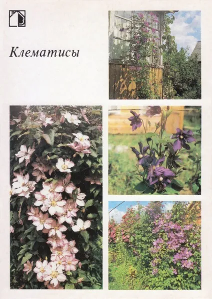 Ваш присадибну ділянку