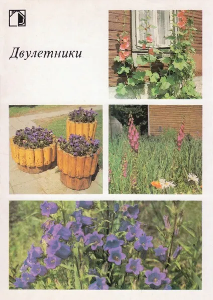 Ваш присадибну ділянку