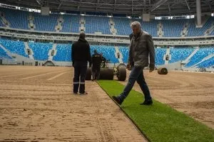 Технологія укладання рулонного газону на глині своїми руками (рулонного) Технологія укладання рулонного газону на глині своїми руками
