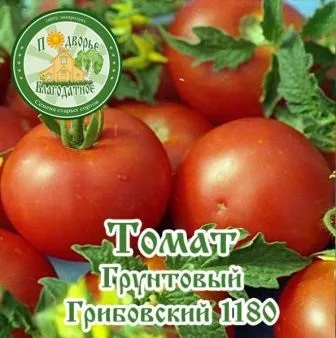 Томат грунтовий грибовский відгуки, досвідчених городників (томат) Томат грунтовий грибовский відгуки, досвідчених городників