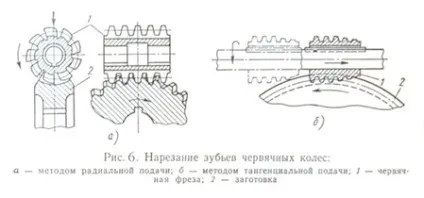 Технологія нарізування зубів конічних і черв'ячних коліс (точність) Технологія нарізування зубів конічних і черв'ячних коліс