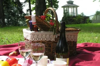 Топ-5 порад, як організувати ідеальний пікнік (можна прочитати тут) Топ-5 порад, як організувати ідеальний пікнік