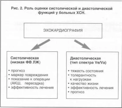 Терапія-знайомтеся диастолическая серцева недостатність - медична енциклопедія (серцева) Терапія-знайомтеся диастолическая серцева недостатність - медична енциклопедія