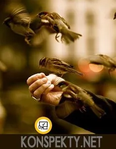 У чому полягає довіру