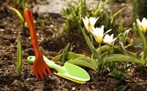 Весняна клумба на дачі своїми руками (дачі) Весняна клумба на дачі своїми руками