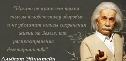 Вегетаріанська дієта як схуднути на вегетаріанство