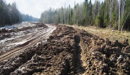 Весняне бездоріжжя - проблема вирішувана (зберігання деревини) Весняне бездоріжжя - проблема розв'язувана