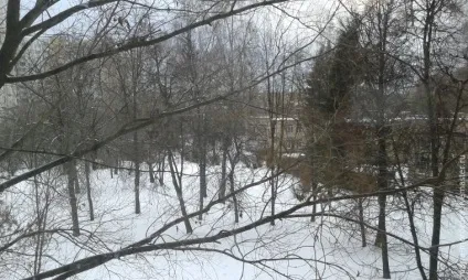 Натхненням видом з вікна