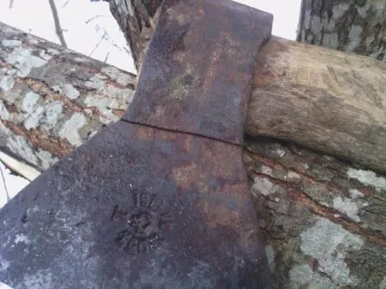 Гілки і кози, а також евльскій козел і ще про козлів (гілки) Гілки і кози, а також евльскій козел і ще про козлів