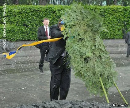 Вінок невідомого солдата прибив януковича (януковича) Вінок невідомого солдата прибив януковича