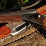 Вибираємо патрони на гусака (патрони) Вибираємо патрони на гусака
