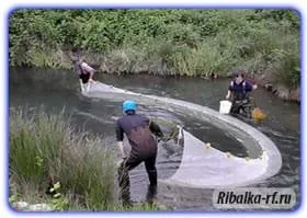 Види рибальських сіток