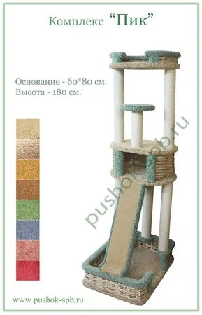 Вибір кошеня і ціна, що необхідно для кошеняти, документи на породистого кошеняти (Вибір кошеня ціна) Вибір кошеня і ціна, що необхідно для кошеняти, документи на породистого кошеняти