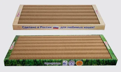 Вибір кошеня і ціна, що необхідно для кошеняти, документи на породистого кошеняти (вибір) Вибір кошеня і ціна, що необхідно для кошеняти, документи на породистого кошеняти