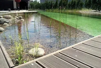 Види штучних водойм для заміського ділянки декоративні джерела в саду (штучних) Види штучних водойм для заміського ділянки декоративні джерела в саду