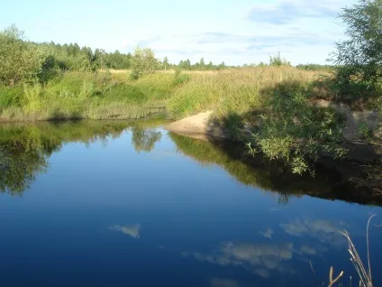 Вибір ділянки лову у вітряну погоду - погода для рибалок (ділянки) Вибір ділянки лову у вітряну погоду - погода для рибалок