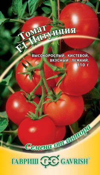 Високоврожайні сорти томатів для теплиць (томатів) Високоврожайні сорти томатів для теплиць