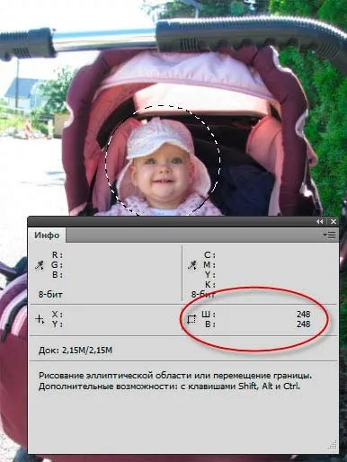 Вирізати коло заданого діаметра з фотографії (заданого) Вирізати коло заданого діаметра з фотографії