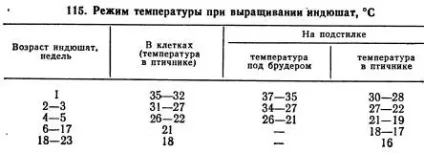 Вирощування індичат на м'ясо - агроархів сільськогосподарські матеріали (підстилці) Вирощування індичат на м'ясо - агроархів сільськогосподарські матеріали