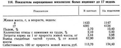 Вирощування індичат на м'ясо - агроархів сільськогосподарські матеріали (клітинних) Вирощування індичат на м'ясо - агроархів сільськогосподарські матеріали