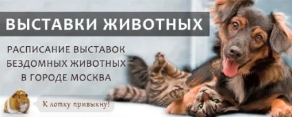 Виставки тварин Київ, mska