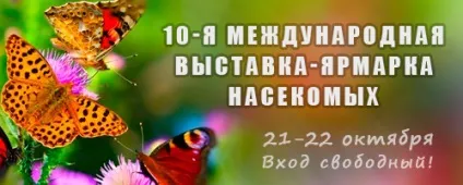 Виставки тварин Київ, mska
