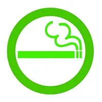 Чи шкідливі сигарети з ментолом - статті для жінок (куріння) Чи шкідливі сигарети з ментолом - статті для жінок