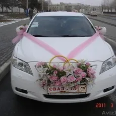 Все з куль