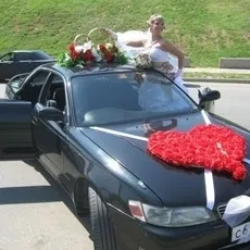 Все з куль