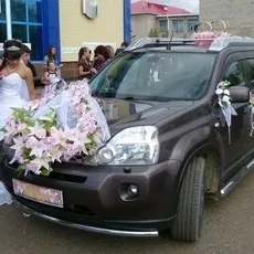 Все з куль