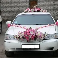 Все з куль