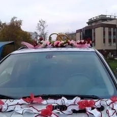 Все з куль