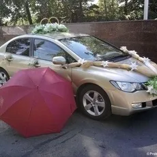Все з куль