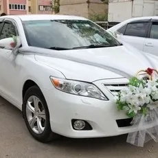 Все з куль