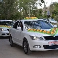 Все з куль