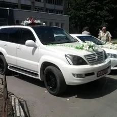 Все з куль