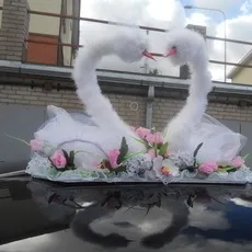 Все з куль