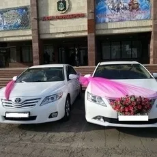 Все з куль