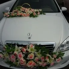 Все з куль